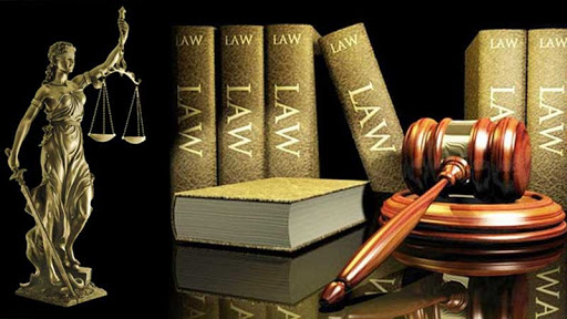 Things to know about studying Law in the Netherlands